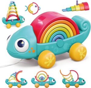Rainbow Chameleon Toy